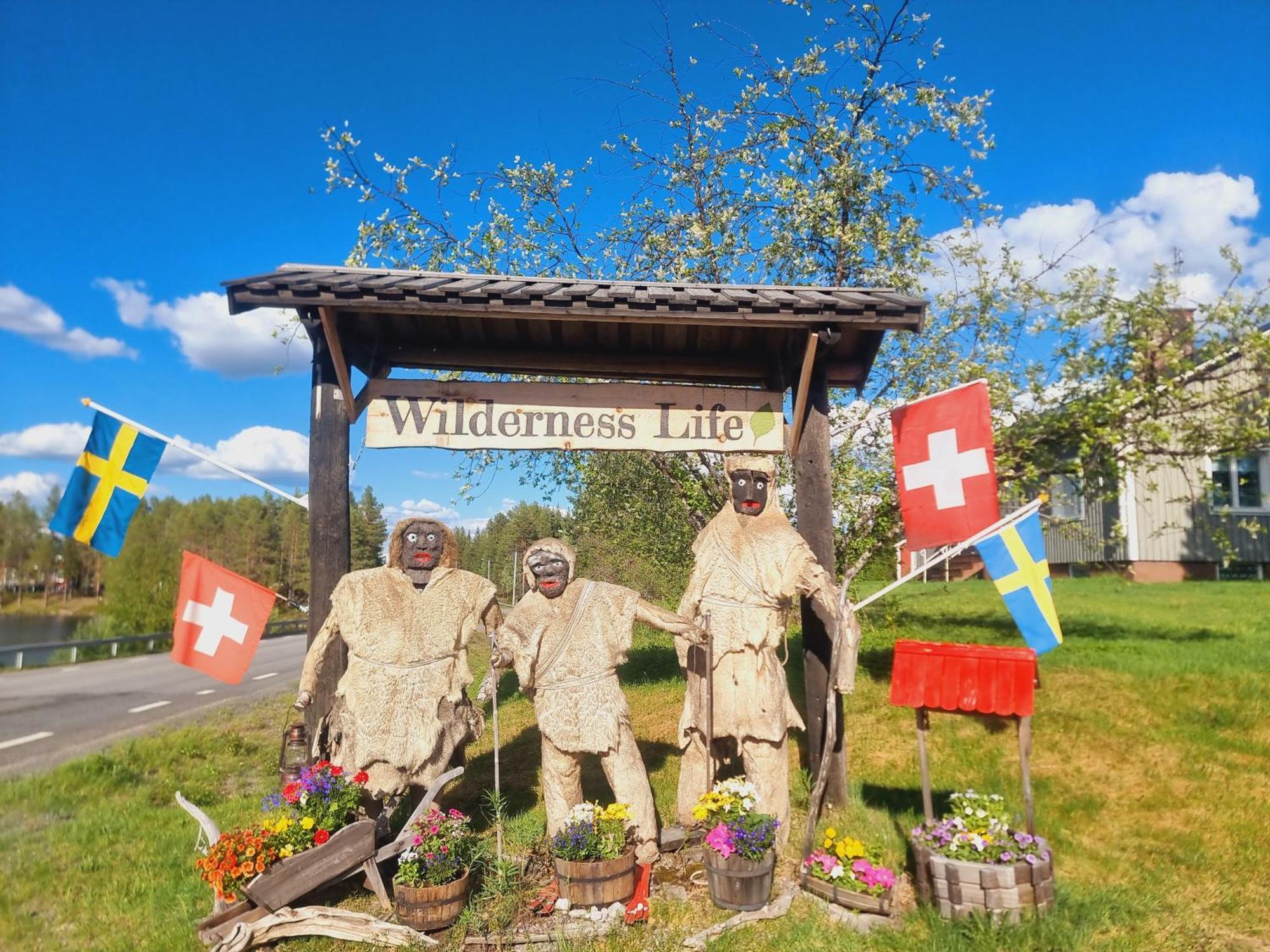Elch Zimmer Wilderness Life 阿尔维斯尧尔 外观 照片